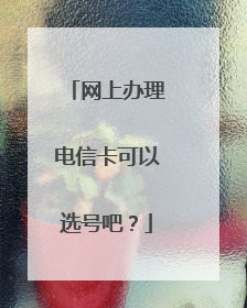 网上办理电信卡可以选号吧?