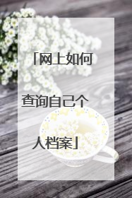 网上如何查询自己个人档案