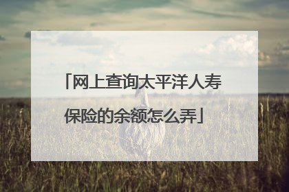 网上查询太平洋人寿保险的余额怎么弄