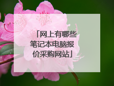 网上有哪些笔记本电脑报价采购网站