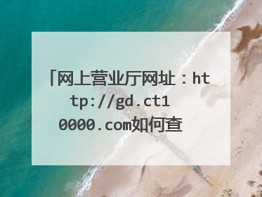 网上营业厅网址:http://gd.ct10000.com如何查询手机上网的流量