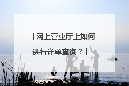 网上营业厅上如何进行详单查询?