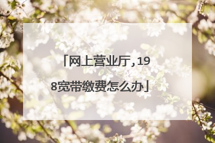 网上营业厅,198宽带缴费怎么办