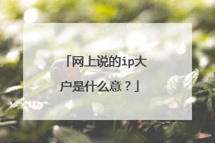 网上说的ip大户是什么意?