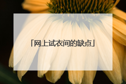 网上试衣间的缺点