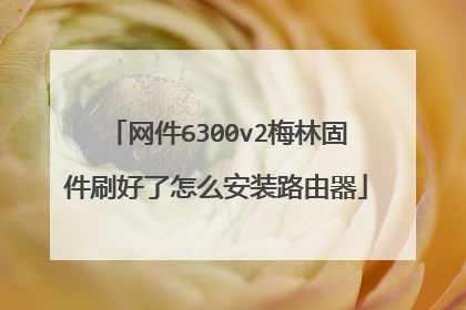 网件6300v2梅林固件刷好了怎么安装路由器
