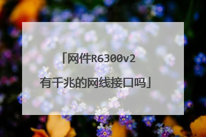 网件R6300v2 有千兆的网线接口吗