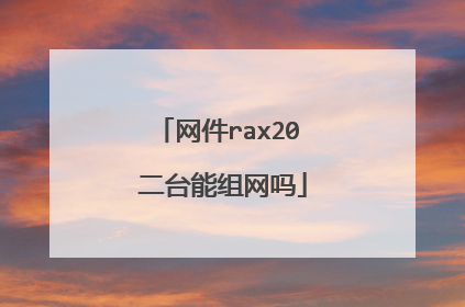 网件rax20 二台能组网吗