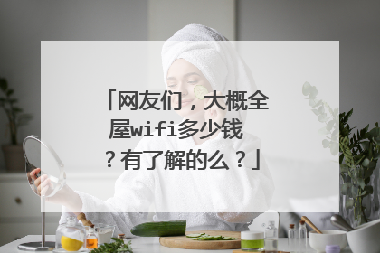 网友们,大概全屋wifi多少钱?有了解的么?