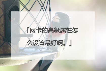 网卡的高级属性怎么设置最好啊。