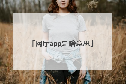 网厅app是啥意思
