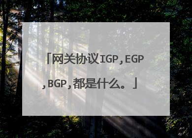 网关协议IGP,EGP,BGP,都是什么。