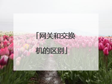 网关和交换机的区别