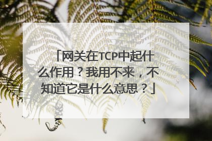 网关在TCP中起什么作用?我用不来,不知道它是什么意思?