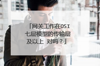 网关工作在OSI 七层模型的传输层及以上 对吗？