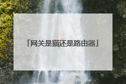 网关是猫还是路由器