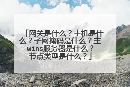 网关是什么？主机是什么？子网掩码是什么？主wins服务器是什么？节点类型是什么？