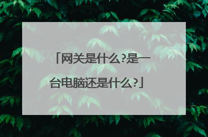 网关是什么?是一台电脑还是什么?