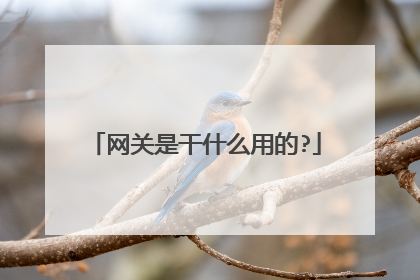 网关是干什么用的?