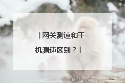网关测速和手机测速区别?