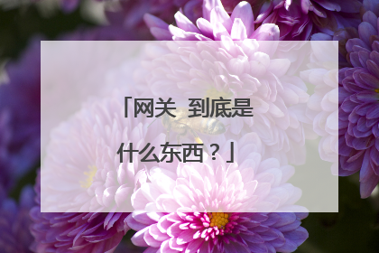 网关 到底是什么东西？