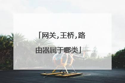 网关,王桥,路由器属于哪类
