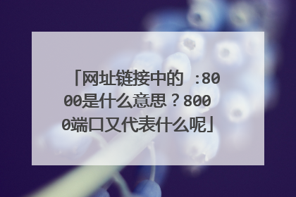 网址链接中的 :8000是什么意思？8000端口又代表什么呢