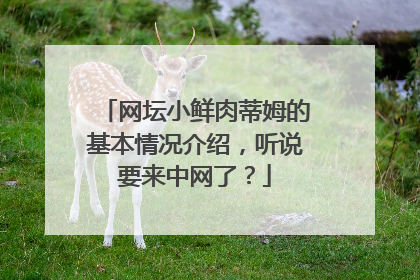 网坛小鲜肉蒂姆的基本情况介绍，听说要来中网了？