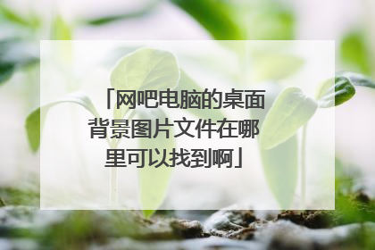 网吧电脑的桌面背景图片文件在哪里可以找到啊