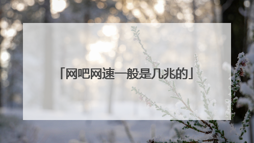 网吧网速一般是几兆的