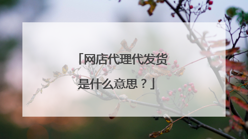网店代理代发货是什么意思?