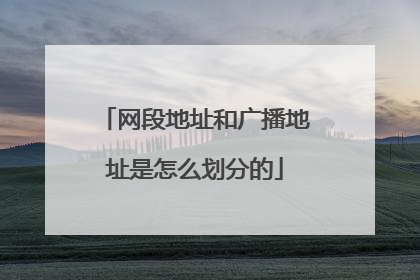 网段地址和广播地址是怎么划分的