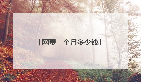 网费一个月多少钱
