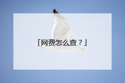 网费怎么查?