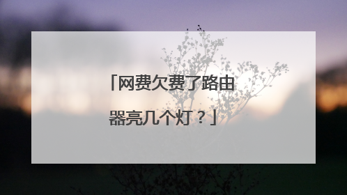 网费欠费了路由器亮几个灯？