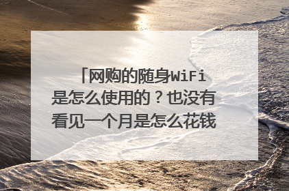网购的随身WiFi是怎么使用的？也没有看见一个月是怎么花钱的啊，难道这么多流量不用交钱？