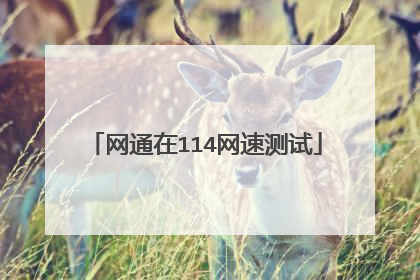 网通在114网速测试