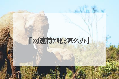网速特别慢怎么办