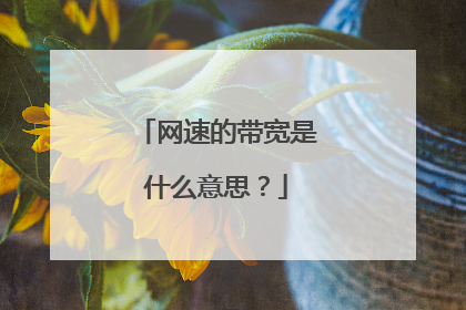 网速的带宽是什么意思？