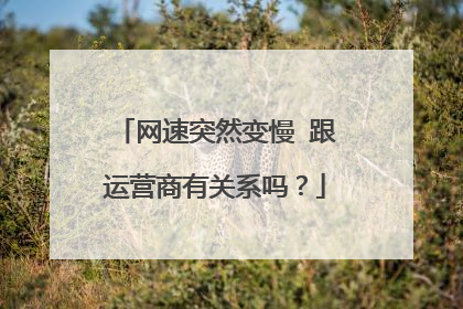 网速突然变慢 跟运营商有关系吗?