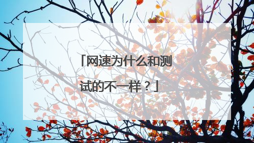 网速为什么和测试的不一样?