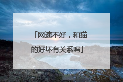 网速不好,和猫的好坏有关系吗
