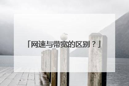 网速与带宽的区别？