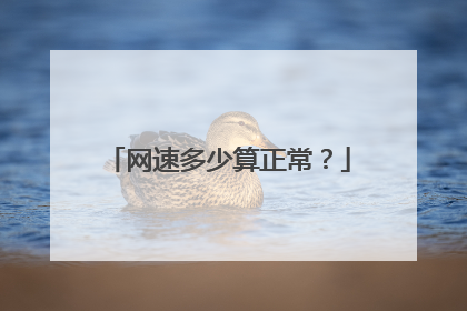 网速多少算正常？