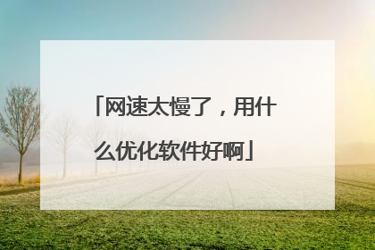 网速太慢了，用什么优化软件好啊