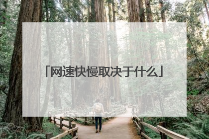 网速快慢取决于什么