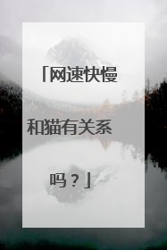 网速快慢和猫有关系吗?