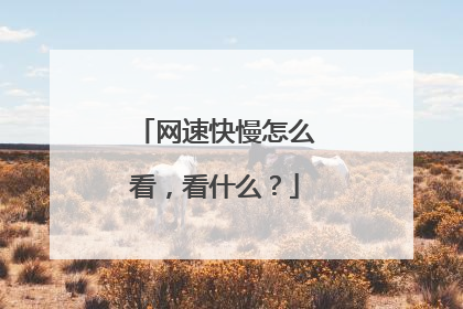 网速快慢怎么看,看什么?