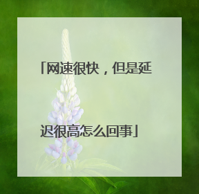 网速很快,但是延迟很高怎么回事
