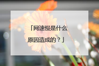 网速慢是什么原因造成的？